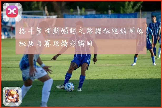 格斗努涅斯崛起之路揭秘他的训练秘诀与赛场精彩瞬间