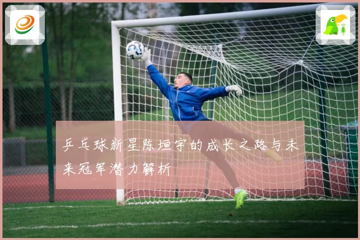 乒乓球新星陈垣宇的成长之路与未来冠军潜力解析
