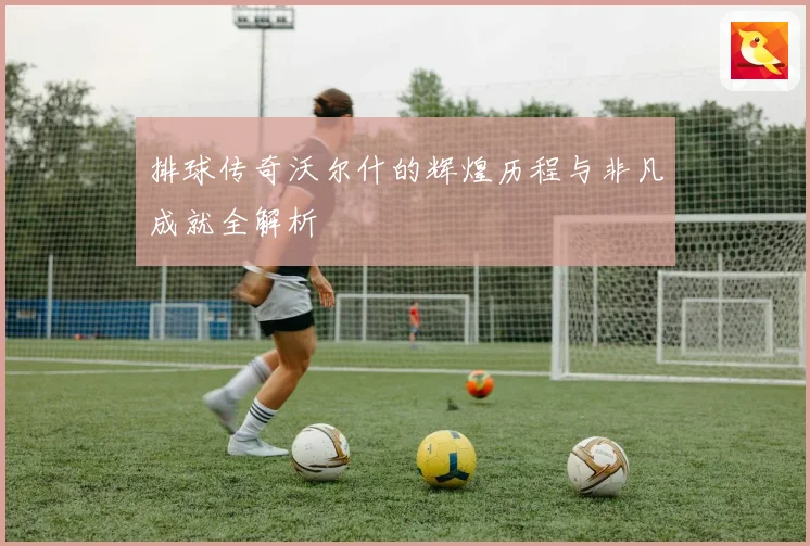 排球传奇沃尔什的辉煌历程与非凡成就全解析