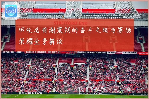 田径名将谢震朔的奋斗之路与赛场荣耀全景解读
