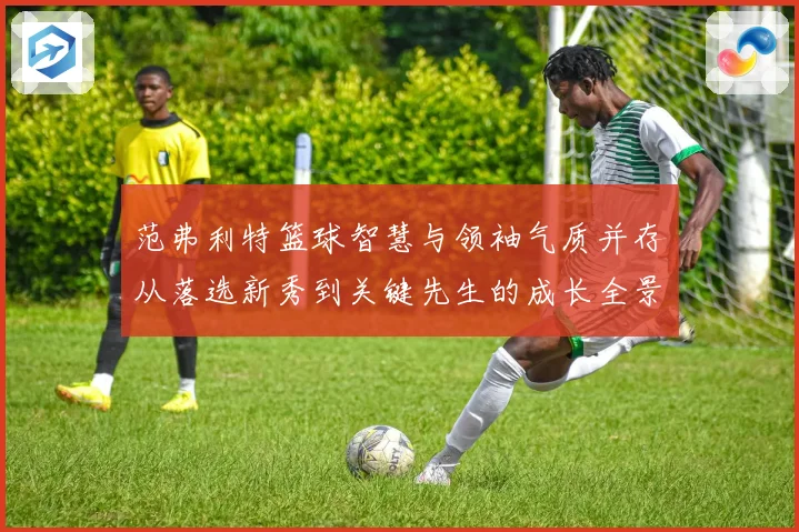 范弗利特篮球智慧与领袖气质并存从落选新秀到关键先生的成长全景解析
