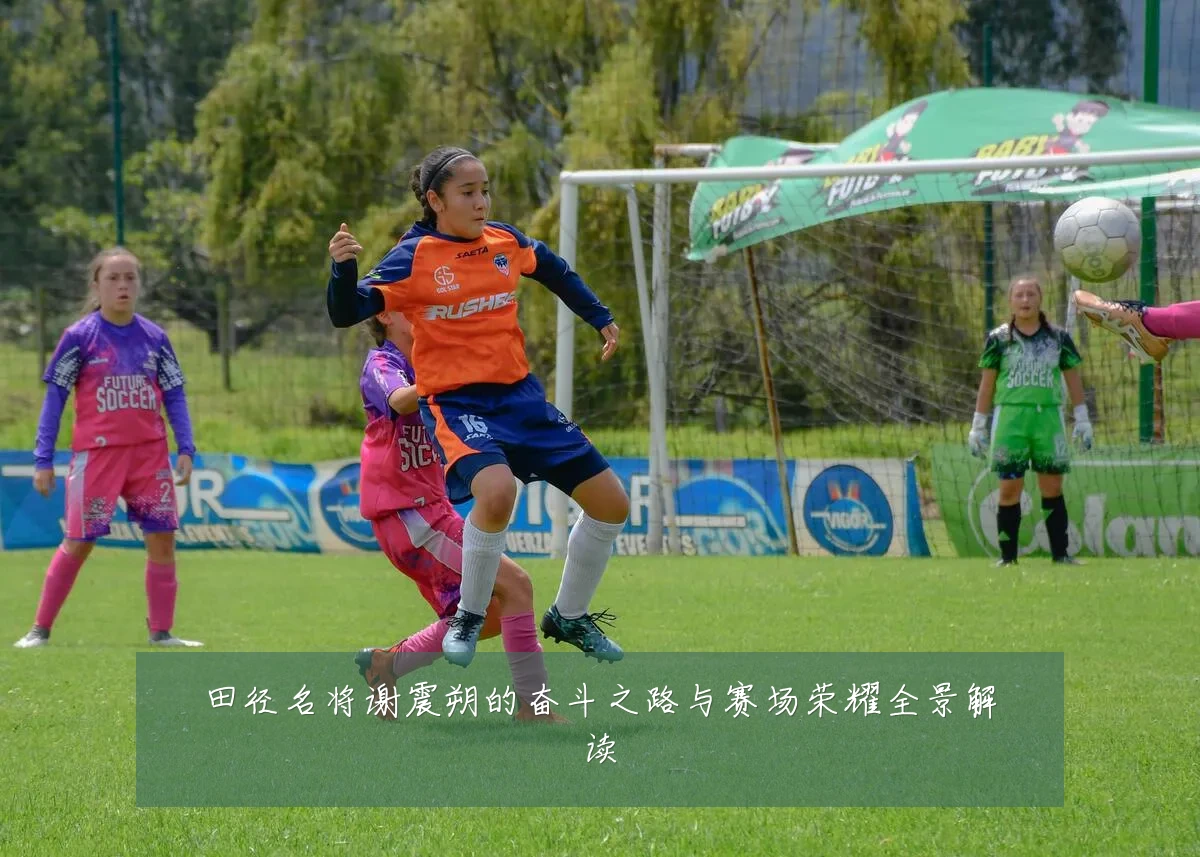田径名将谢震朔的奋斗之路与赛场荣耀全景解读