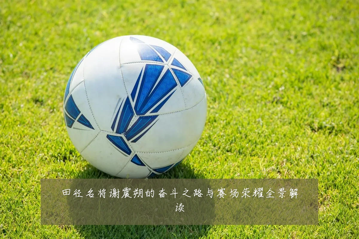 田径名将谢震朔的奋斗之路与赛场荣耀全景解读